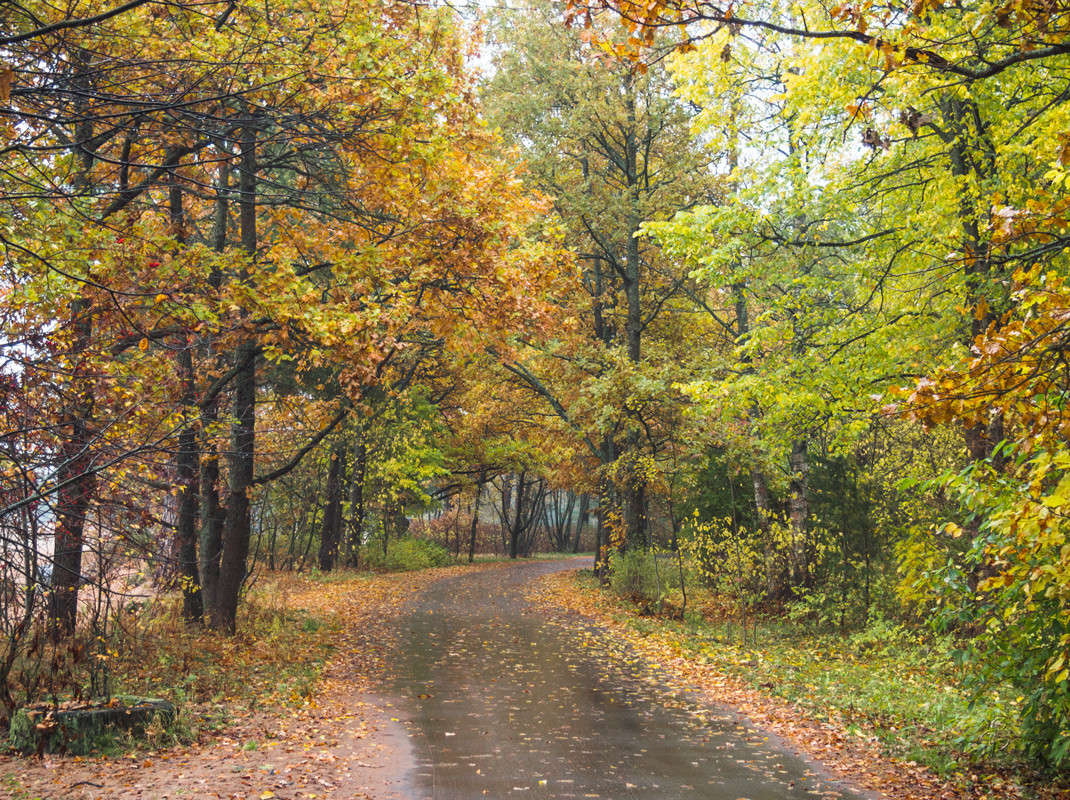 ����� � ��������� ���� 15 ����� Vitaly Konakov �� PhotoGeek.ru #������ ��� ������� #����� ��������