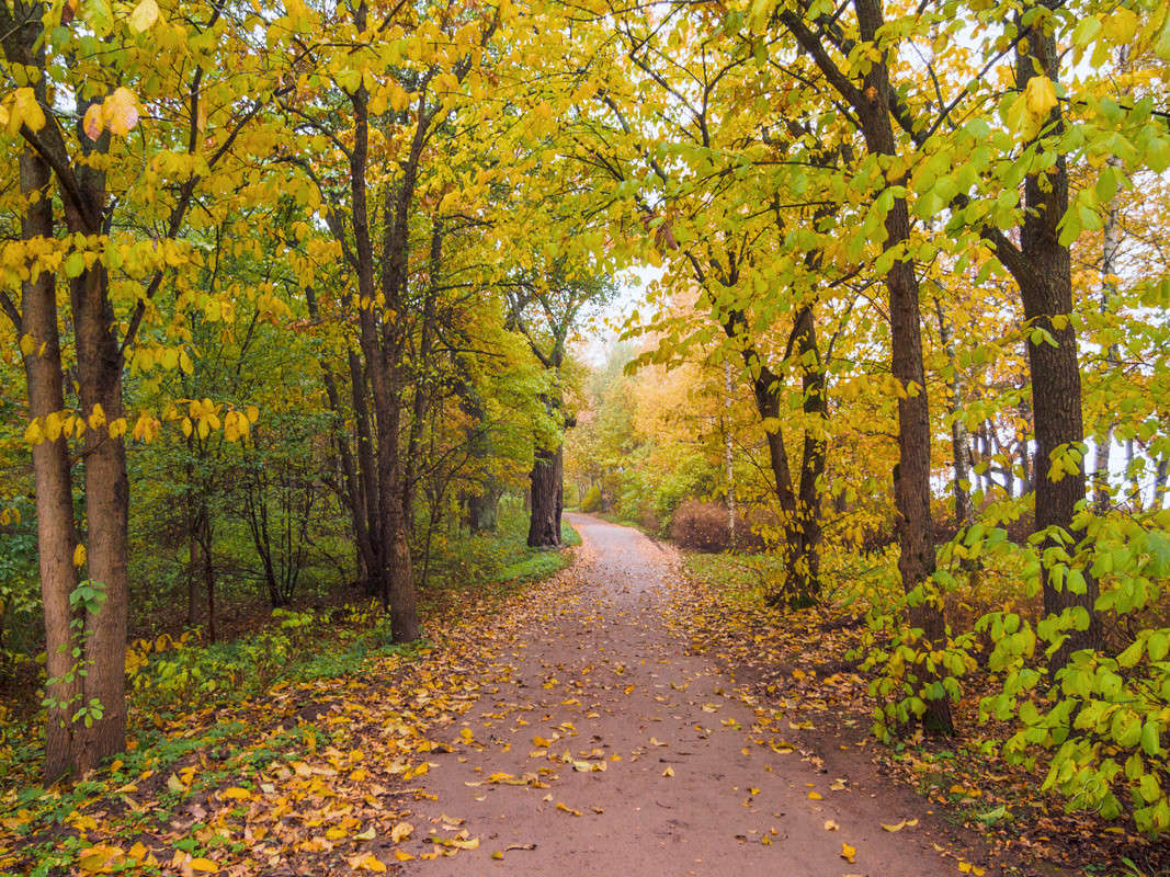 ����� � ��������� ���� 13 ����� Vitaly Konakov �� PhotoGeek.ru #������ ��� ������� #����� ��������