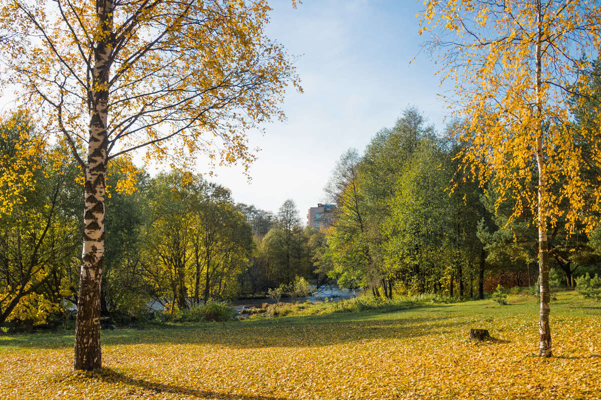 ����� ������� 2 ����� Vitaly Konakov �� PhotoGeek.ru #������ ��� ������� #����� ��������