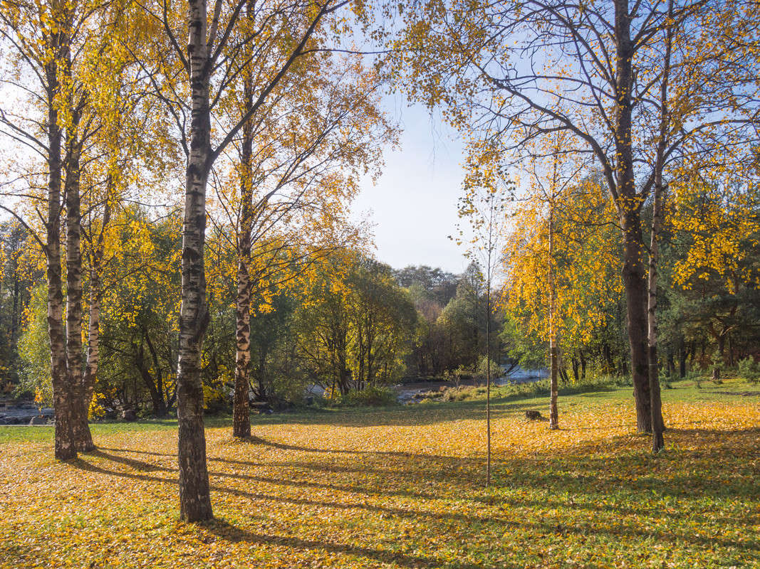 ����� ������� 3 ����� Vitaly Konakov �� PhotoGeek.ru #������ ��� ������� #����� ��������