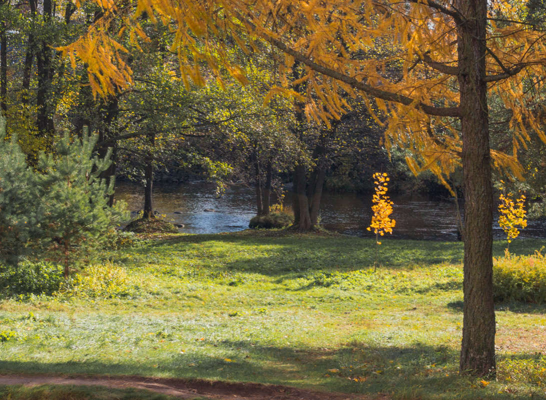 ����� ������� 5 ����� Vitaly Konakov �� PhotoGeek.ru #������ ��� ������� #����� ��������