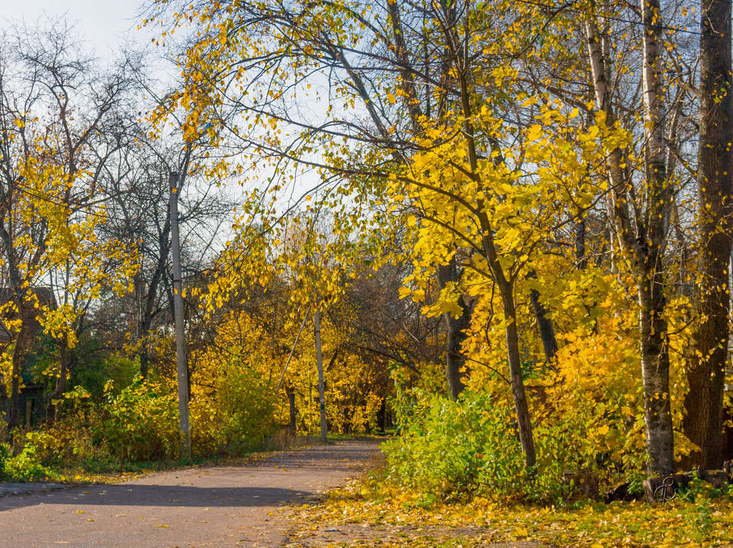 ������� ����� 10 ����� Vitaly Konakov �� PhotoGeek.ru #������ ��� ������� #����� ��������
