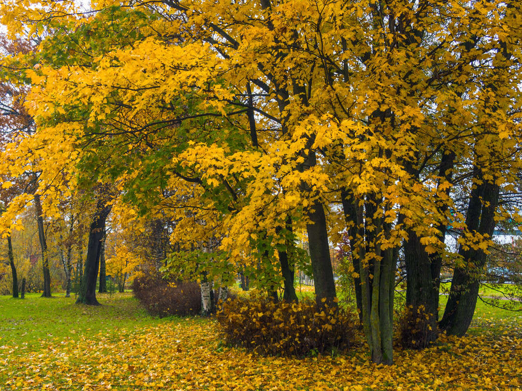 � ��������� ���� 3 ����� Vitaly Konakov �� PhotoGeek.ru #������ ��� ������� #����� ��������