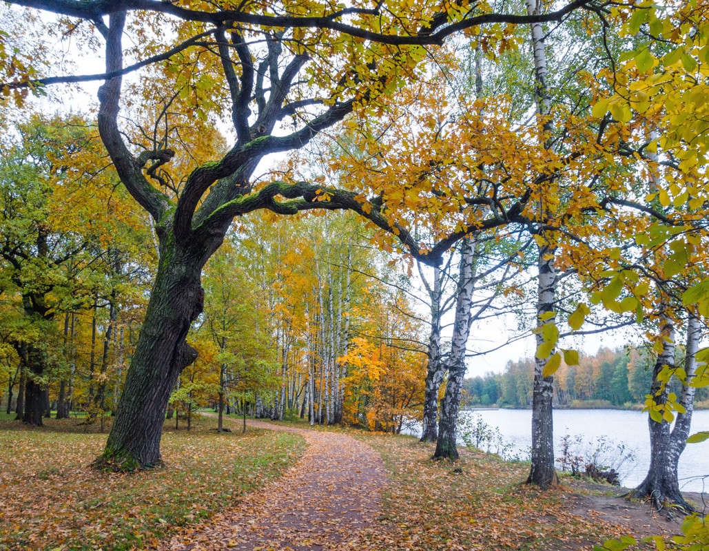 � ��������� ���� 5 ����� Vitaly Konakov �� PhotoGeek.ru #������ ��� ������� #����� ��������