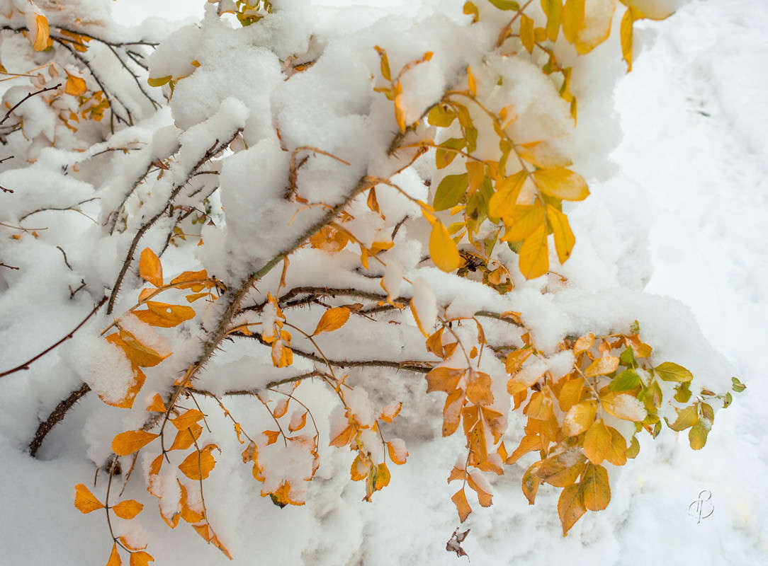 �������� � ������ ����� Vitaly Konakov �� PhotoGeek.ru #������ ��� ������� #����� ��������������