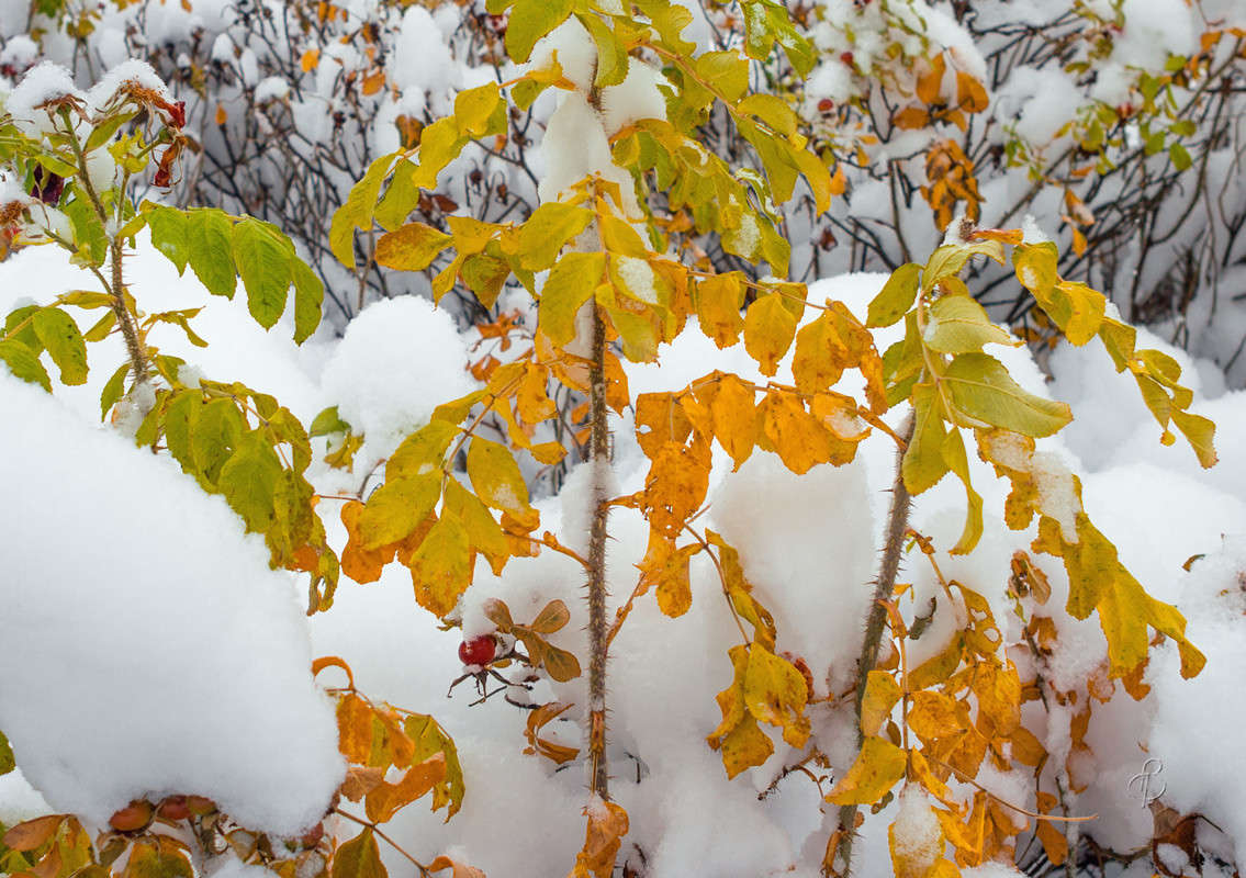 �������� � ������ 2 ����� Vitaly Konakov �� PhotoGeek.ru #������ ��� ������� #����� ��������������