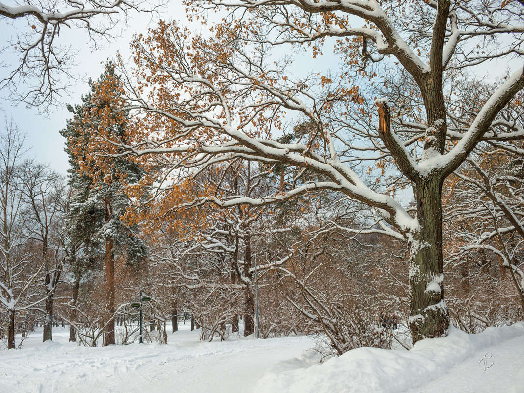 ������� ������ 2 ����� Vitaly Konakov �� PhotoGeek.ru #������ ��� ������� #����� ��������������