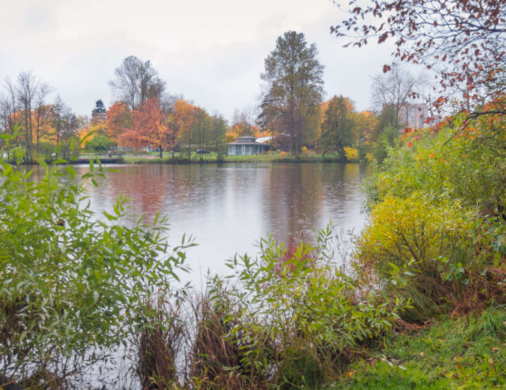 � ��������� ���� 8 ����� Vitaly Konakov �� PhotoGeek.ru #������ ��� ������� #����� ��������