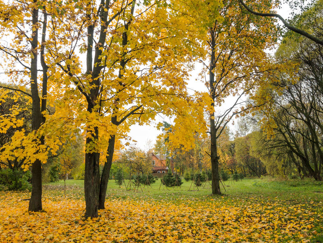 � ��������� ���� 9 ����� Vitaly Konakov �� PhotoGeek.ru #������ ��� ������� #����� ��������