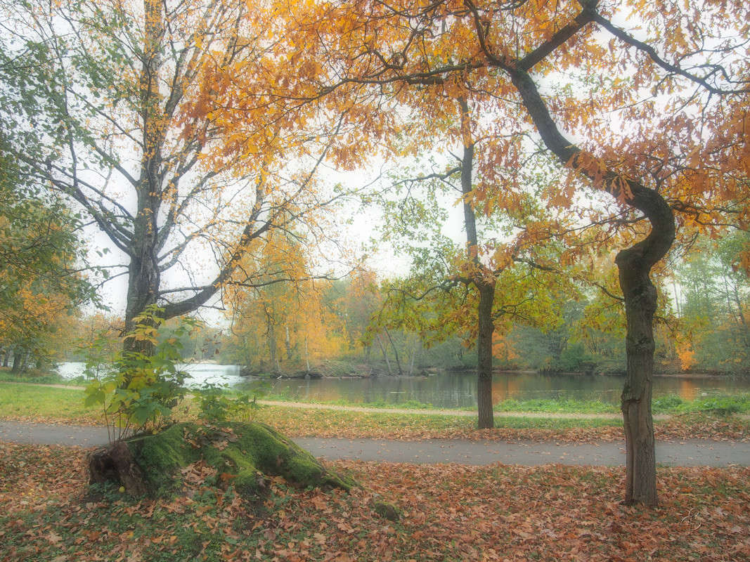 � ��������� ����  10 ����� Vitaly Konakov �� PhotoGeek.ru #������ ��� ������� #����� ��������