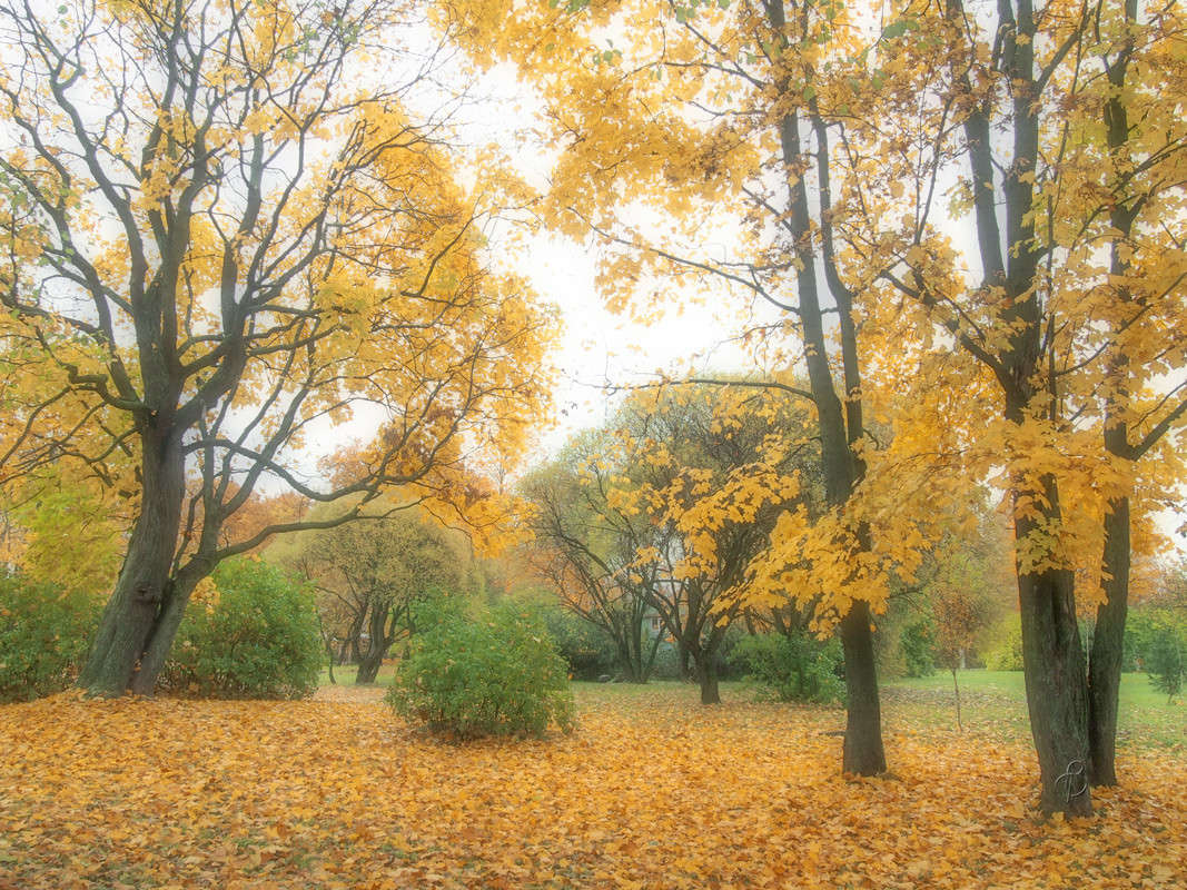 � ��������� ���� 11 ����� Vitaly Konakov �� PhotoGeek.ru #������ ��� ������� #����� ��������