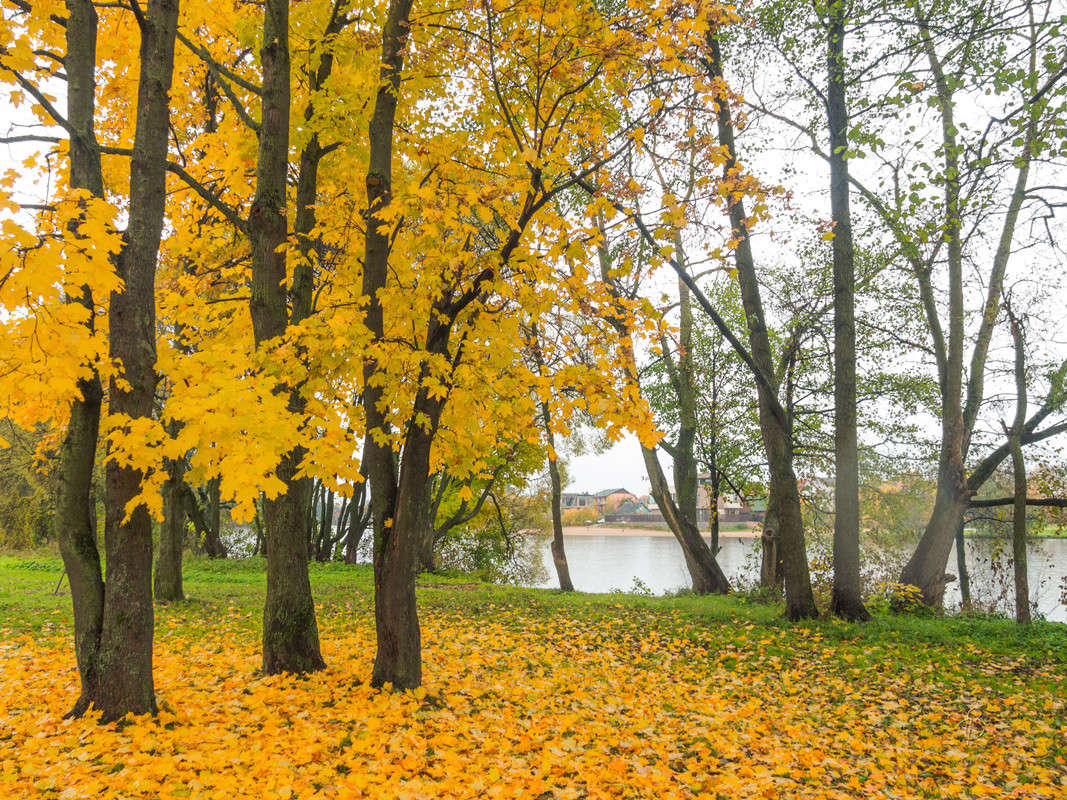 � ��������� ����  12 ����� Vitaly Konakov �� PhotoGeek.ru #������ ��� ������� #����� ��������