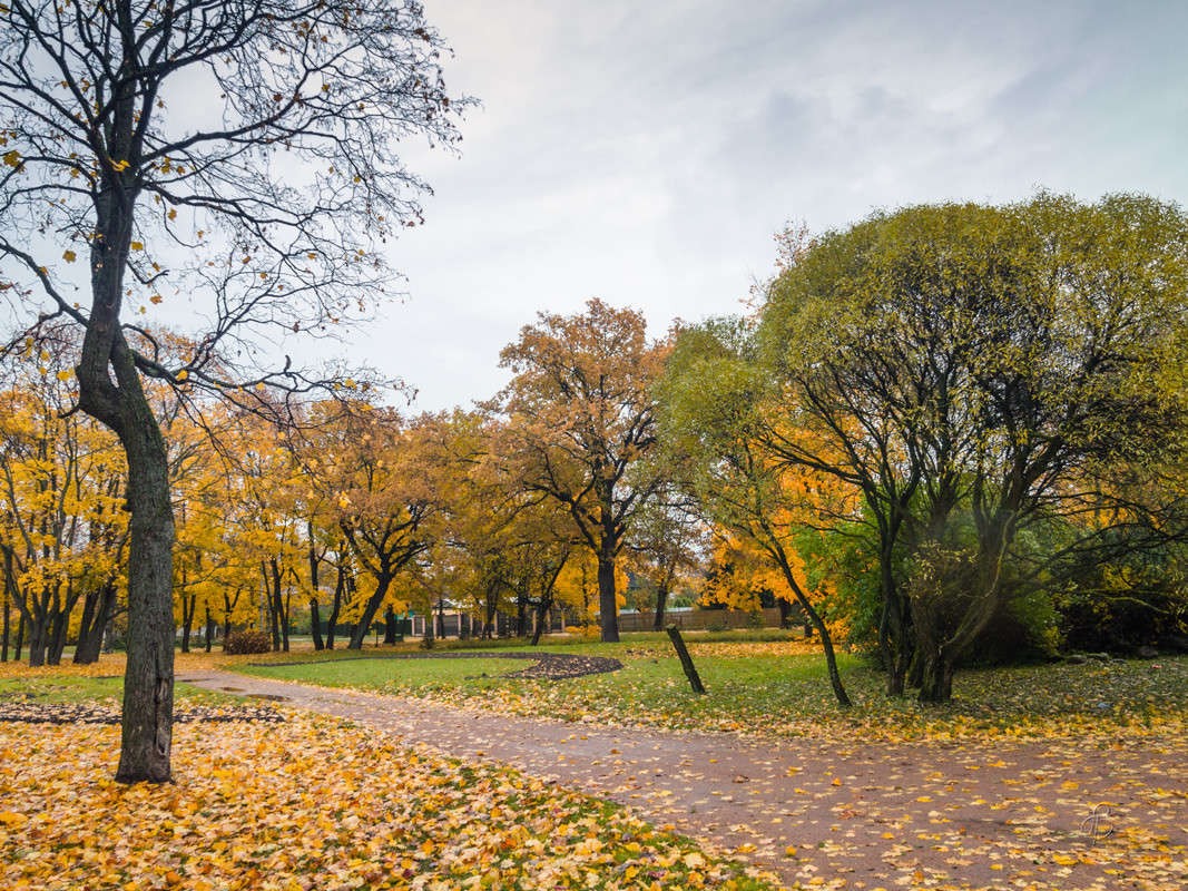 � ��������� ���� 16 ����� Vitaly Konakov �� PhotoGeek.ru #������ ��� ������� #����� ��������