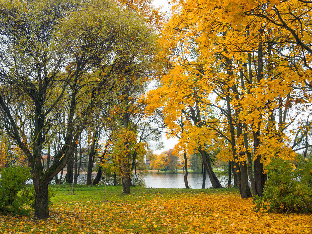 � ��������� ���� 17 ����� Vitaly Konakov �� PhotoGeek.ru #������ ��� ������� #����� ��������������