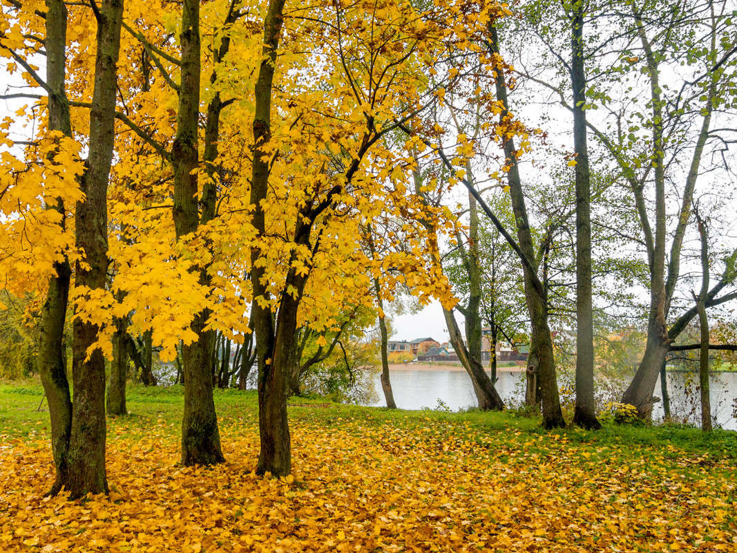 � ��������� ���� 17 ����� Vitaly Konakov �� PhotoGeek.ru #������ ��� ������� #����� ��������