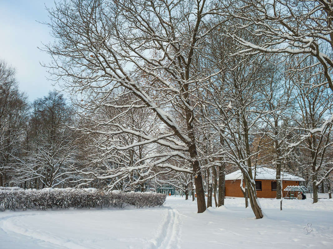 ������� ������ 8 ����� Vitaly Konakov �� PhotoGeek.ru #������ ��� ������� #����� ��������