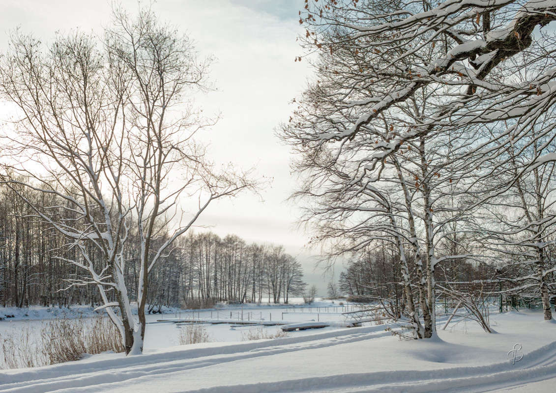 ������� ������ 10 ����� Vitaly Konakov �� PhotoGeek.ru #������ ��� ������� #����� ��������