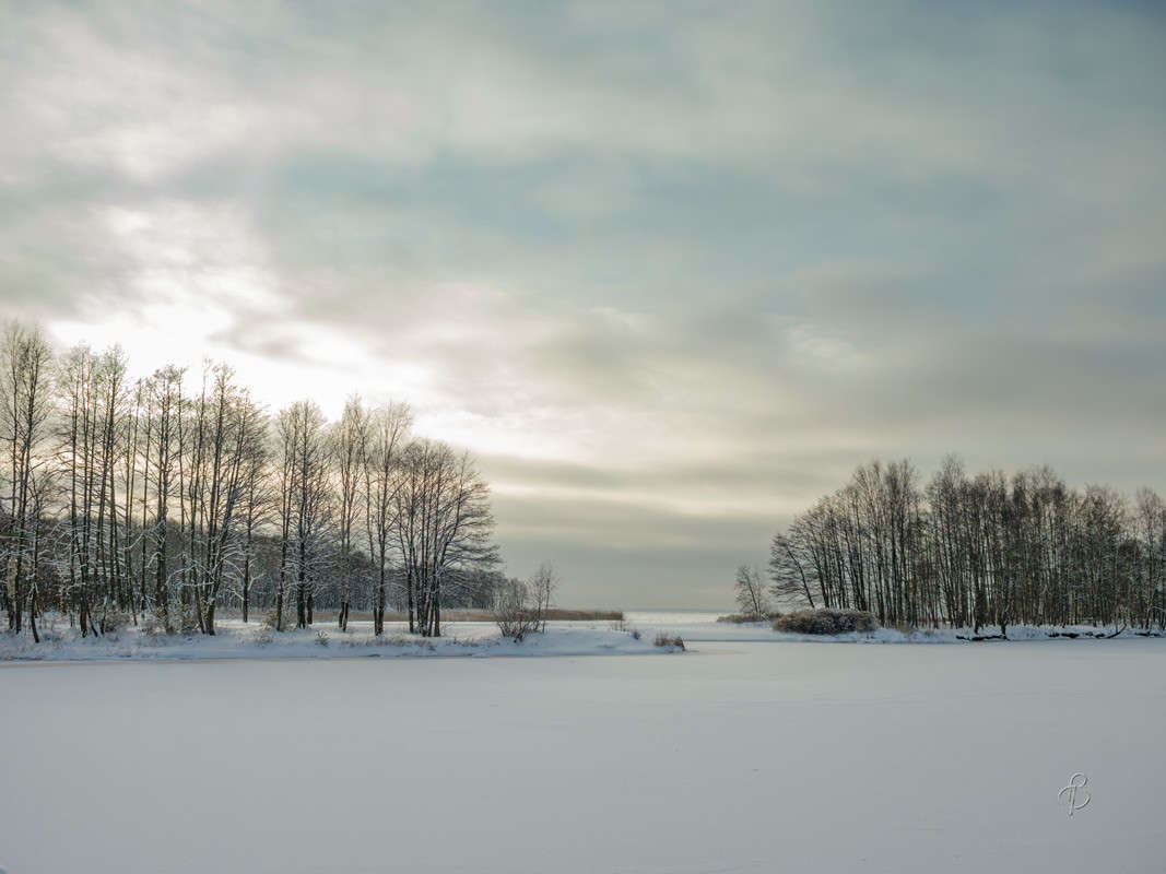 ������� ������ 12 ����� Vitaly Konakov �� PhotoGeek.ru #������ ��� ������� #����� ��������