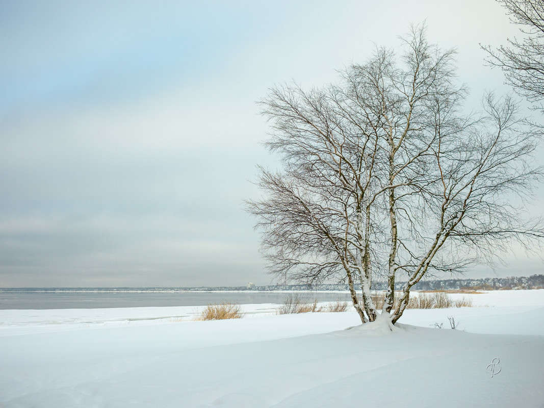 ������� ������ 15 ����� Vitaly Konakov �� PhotoGeek.ru #������ ��� ������� #����� ��������