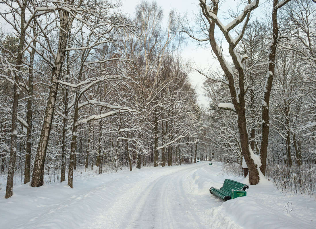 ������� ������  16 ����� Vitaly Konakov �� PhotoGeek.ru #������ ��� ������� #����� ��������