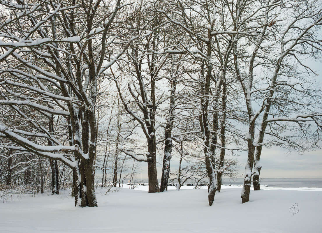 ������� ������ 17 ����� Vitaly Konakov �� PhotoGeek.ru #������ ��� ������� #����� ��������