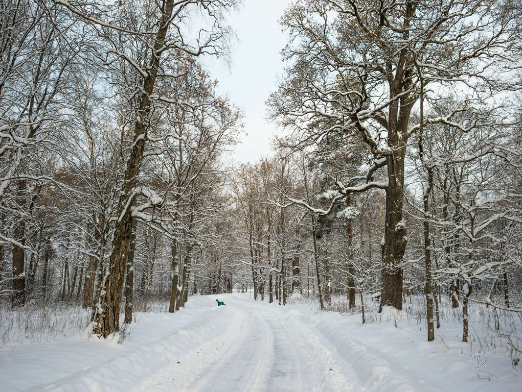 ������� ������ !8 ����� Vitaly Konakov �� PhotoGeek.ru #������ ��� ������� #����� ��������