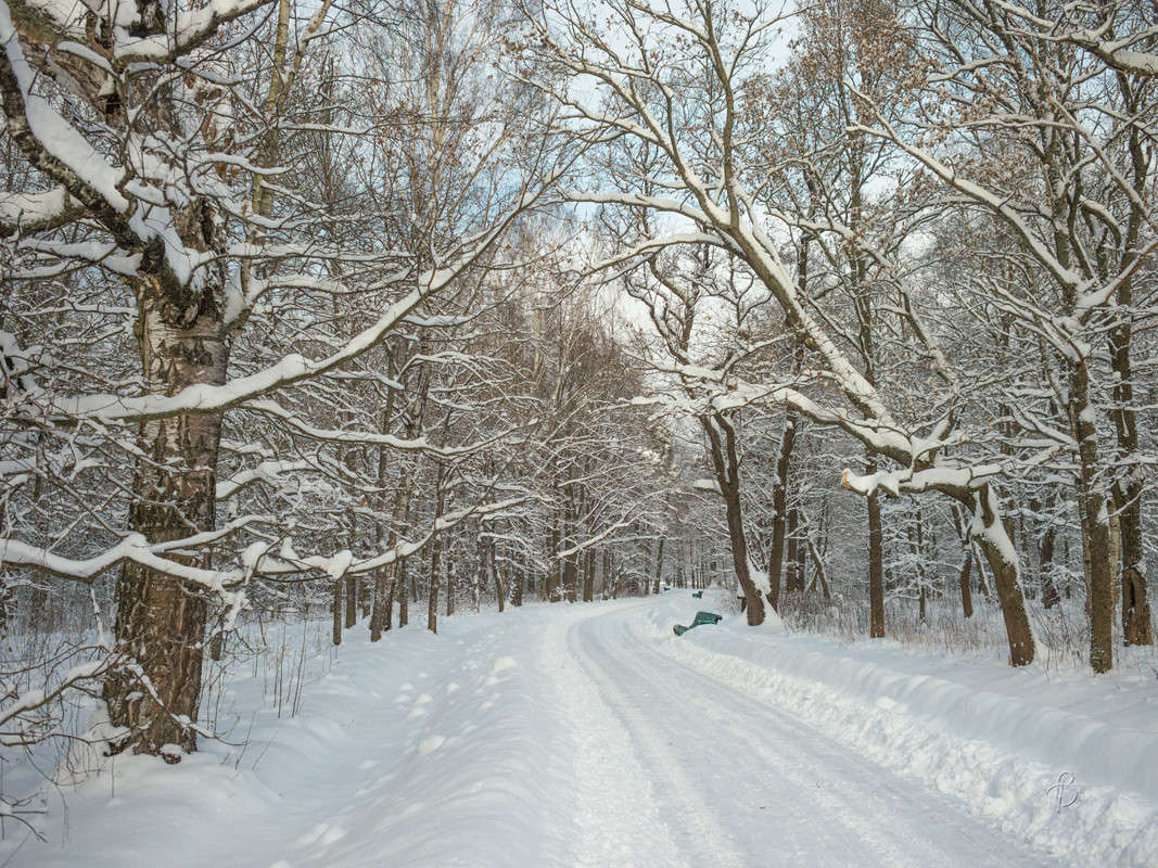 ������� ������ 19 ����� Vitaly Konakov �� PhotoGeek.ru #������ ��� ������� #����� ��������
