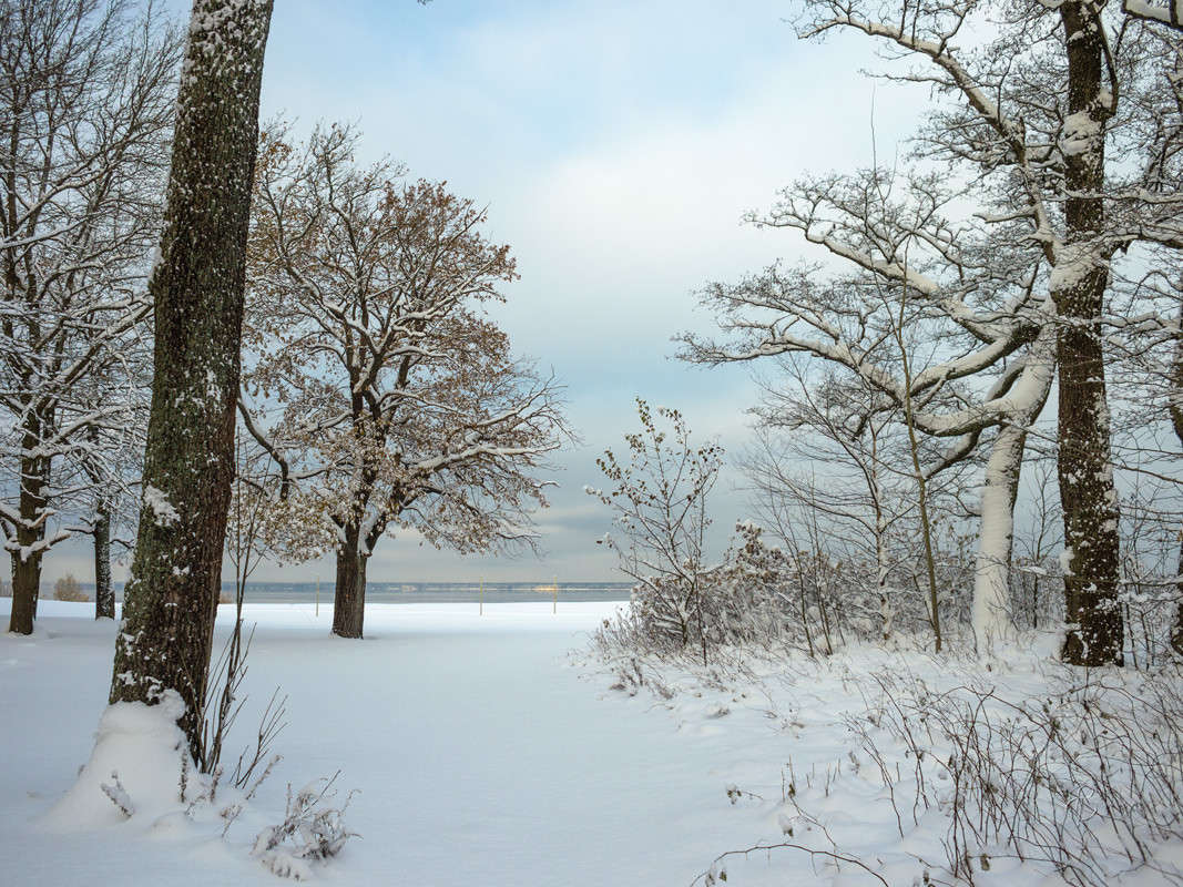 ������� ������ 20 ����� Vitaly Konakov �� PhotoGeek.ru #������ ��� ������� #����� ��������