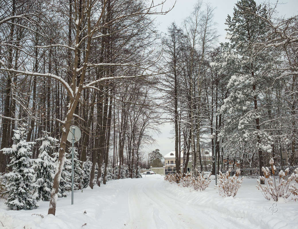 ������� ������ 22 ����� Vitaly Konakov �� PhotoGeek.ru #������ ��� ������� #����� ��������