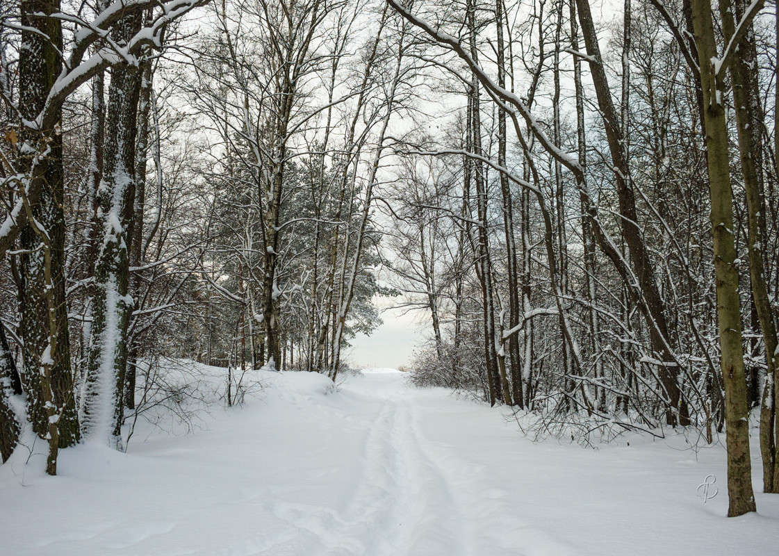 ������� ������ 23 ����� Vitaly Konakov �� PhotoGeek.ru #������ ��� ������� #����� ��������