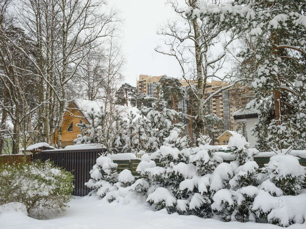 ������� ������ 24 ����� Vitaly Konakov �� PhotoGeek.ru #������ ��� ������� #����� ��������