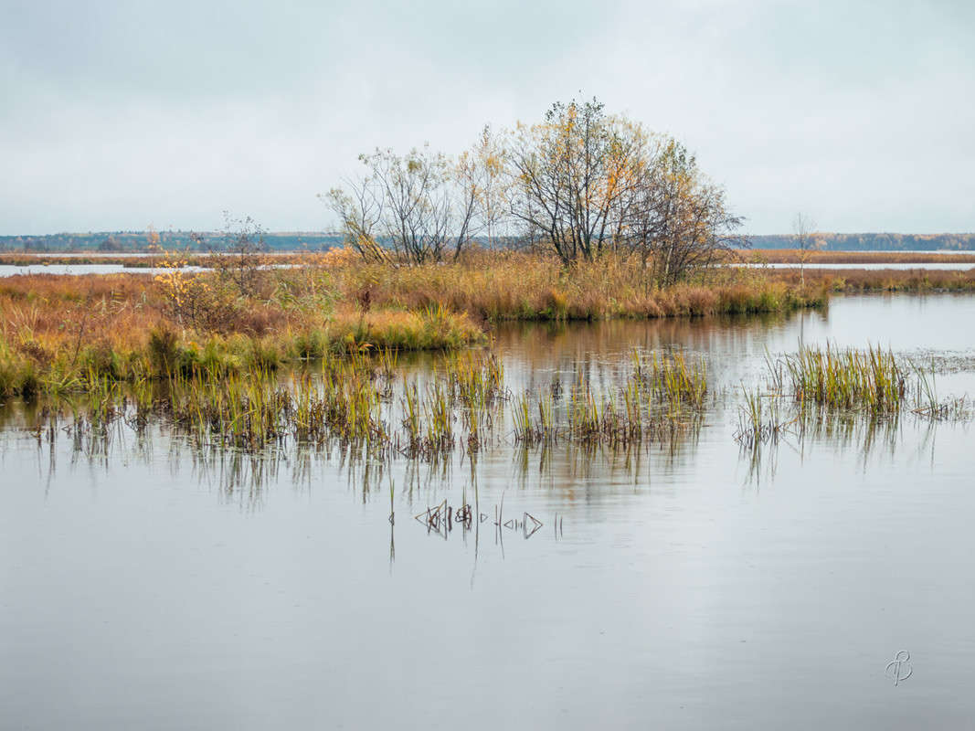 � ��������� ���� 12 ����� Vitaly Konakov �� PhotoGeek.ru #������ ��� ������� #����� ��������