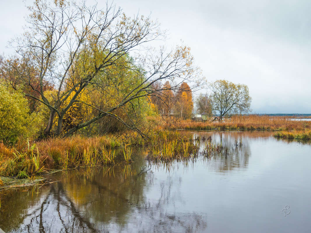 � ��������� ���� 13 ����� Vitaly Konakov �� PhotoGeek.ru #������ ��� ������� #����� ��������