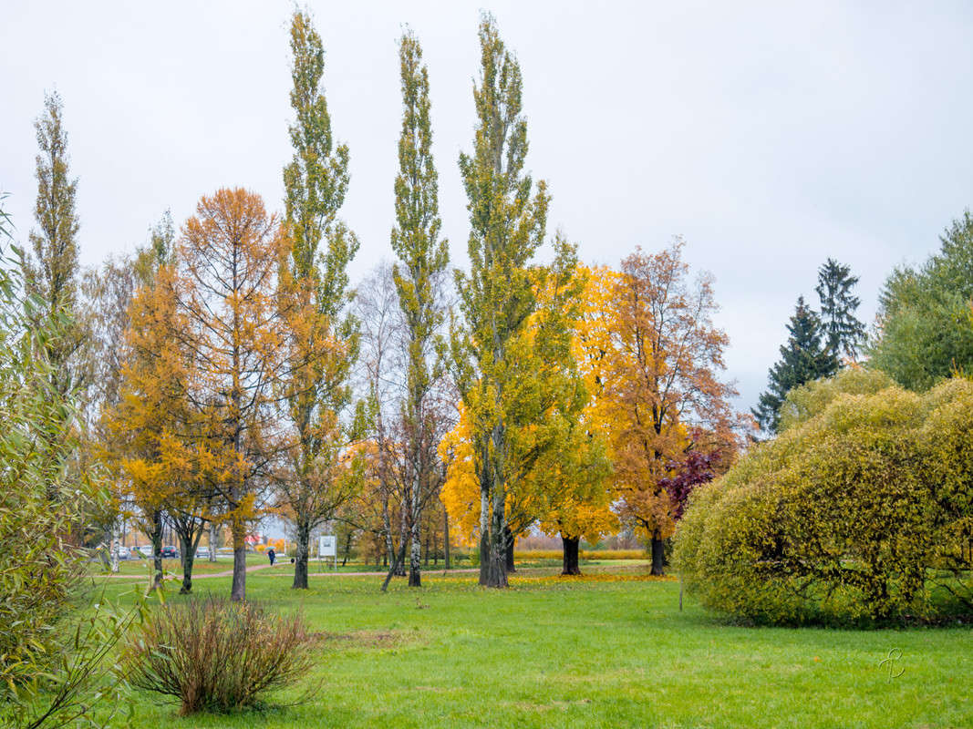 � ��������� ���� 14 ����� Vitaly Konakov �� PhotoGeek.ru #������ ��� ������� #����� ��������