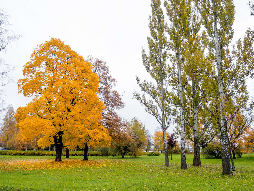 � ��������� ���� 15 ����� Vitaly Konakov �� PhotoGeek.ru #������ ��� ������� #����� ��������