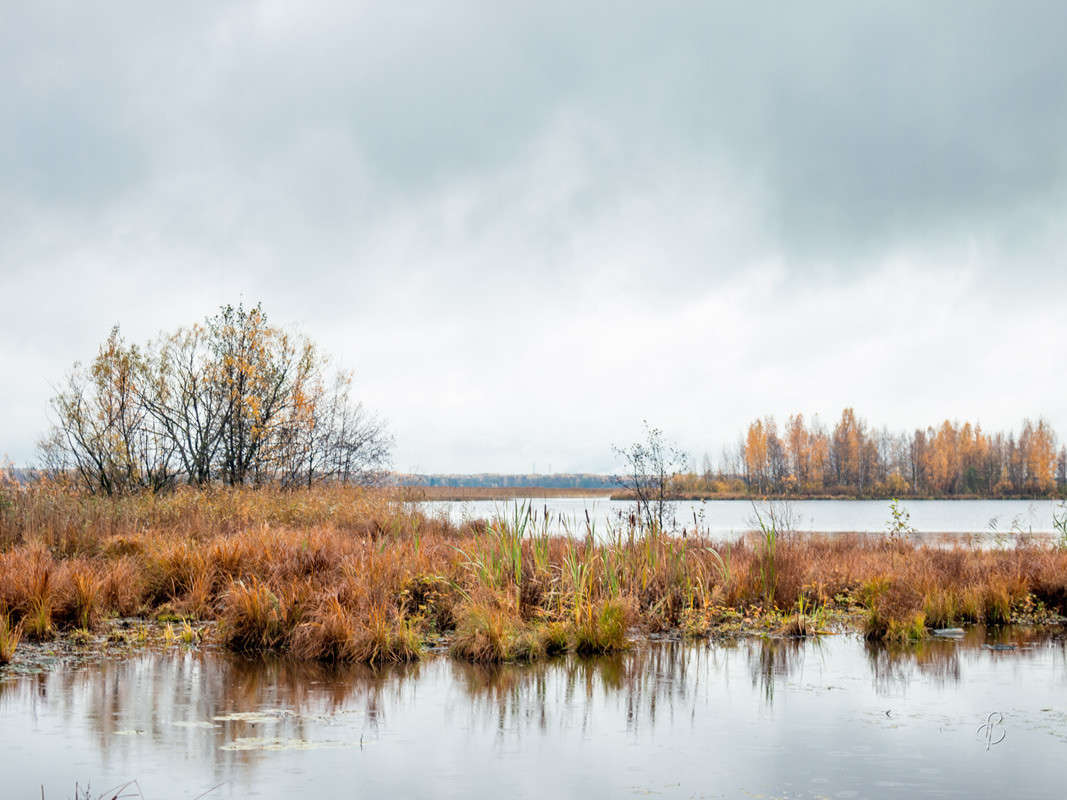 � ��������� ���� 16 ����� Vitaly Konakov �� PhotoGeek.ru #������ ��� ������� #����� ��������