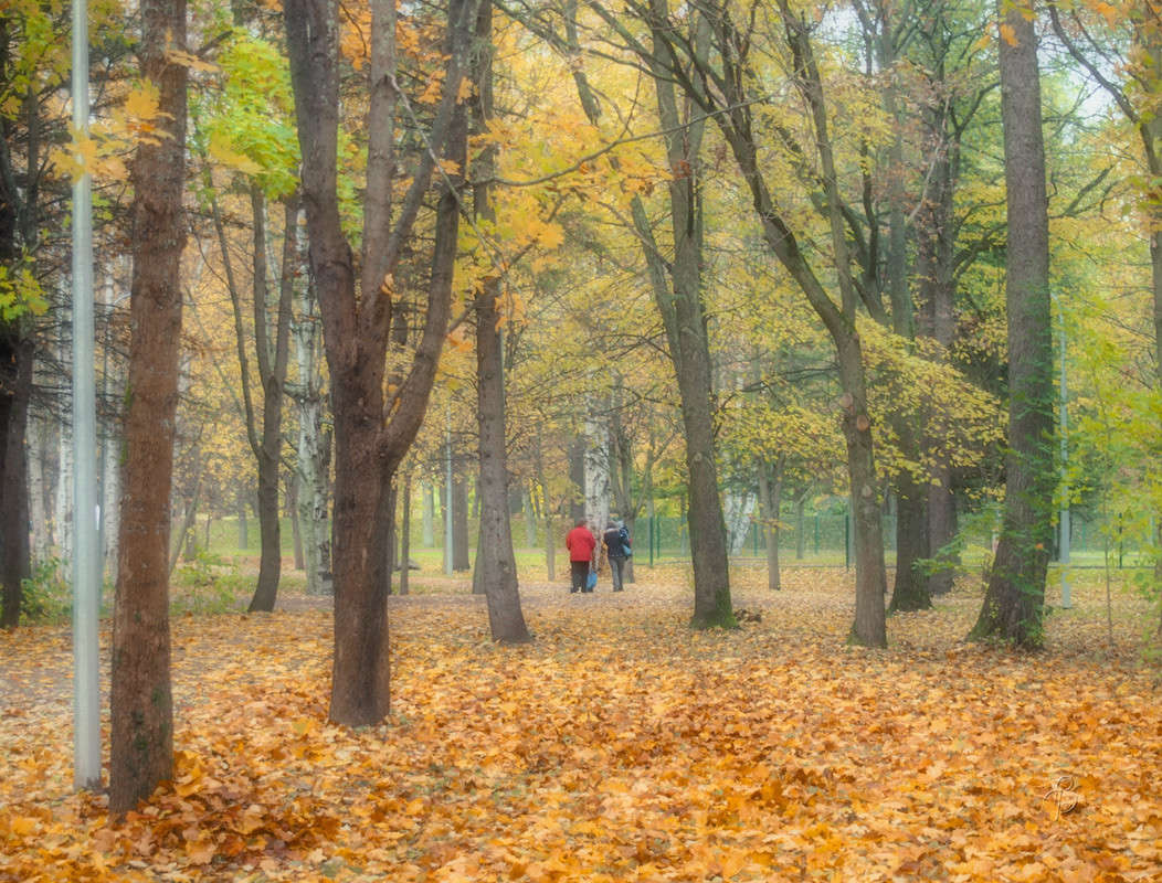 ������� ������ ����� Vitaly Konakov �� PhotoGeek.ru #������ ��� ������� #����� ��������