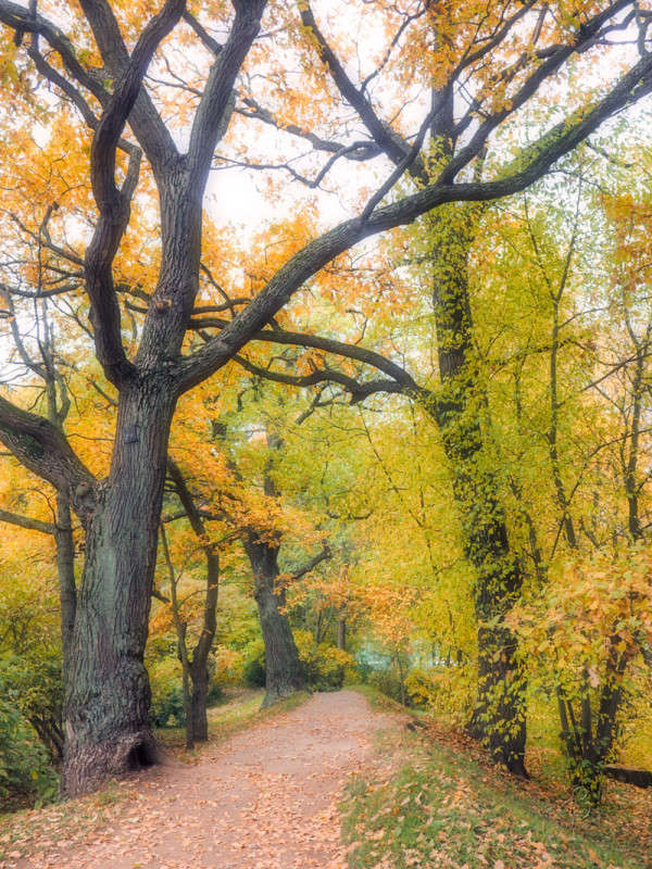 ������� ������ 2 ����� Vitaly Konakov �� PhotoGeek.ru #������ ��� ������� #����� ��������