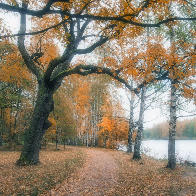 ������� ������ 4 ����� Vitaly Konakov �� PhotoGeek.ru #������ ��� ������� #����� ��������