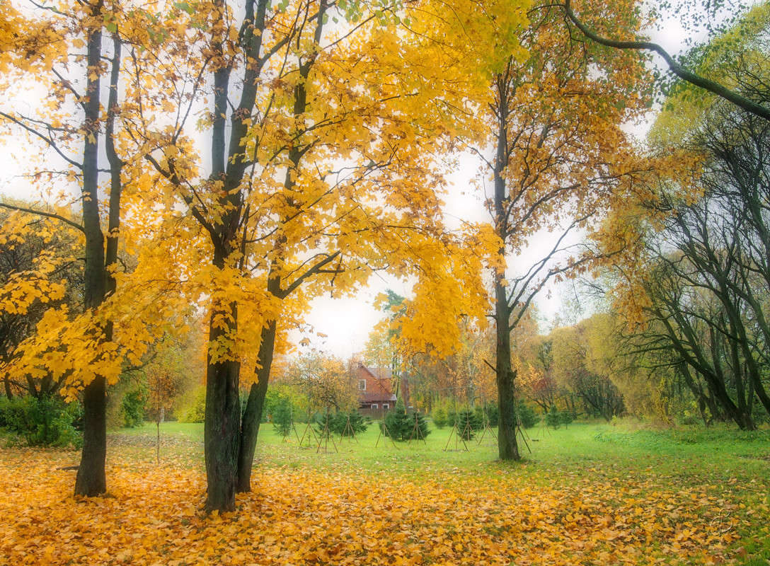 ������� ������ 5 ����� Vitaly Konakov �� PhotoGeek.ru #������ ��� ������� #����� ��������