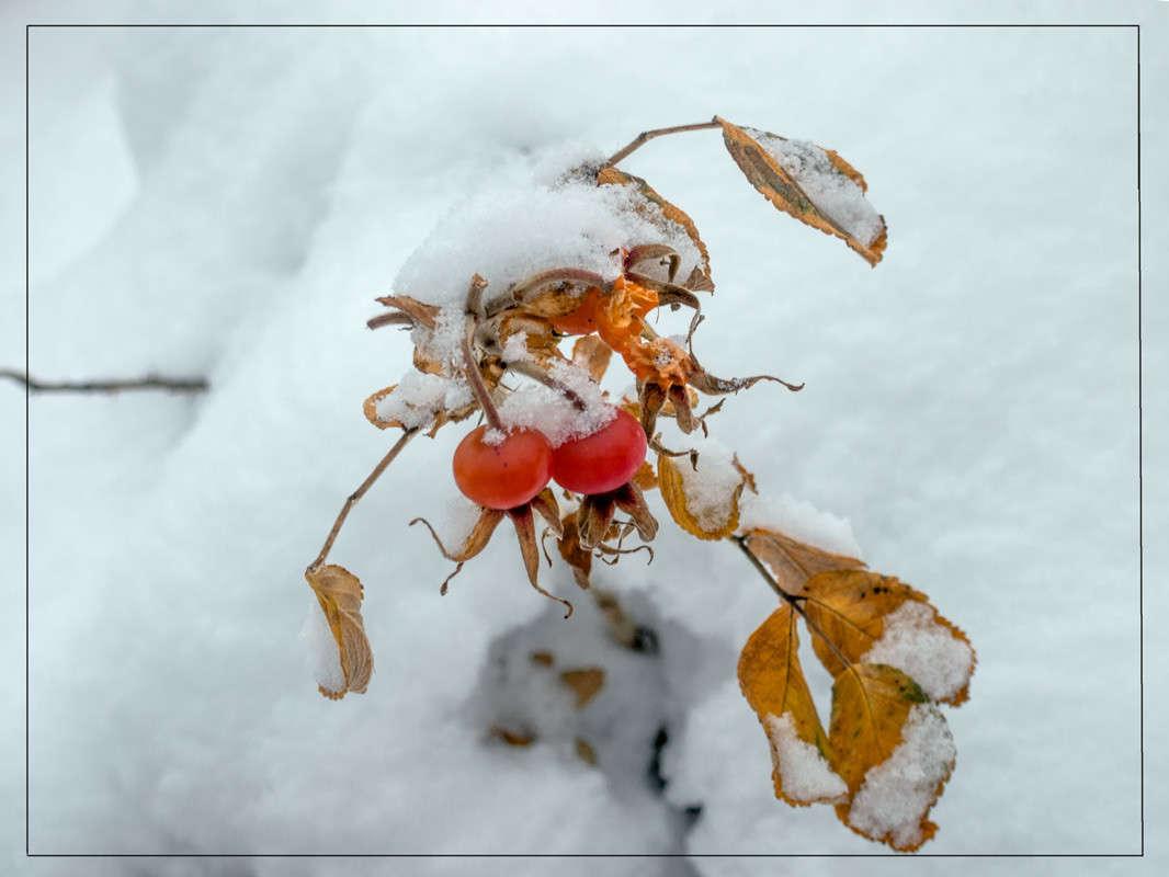 ���� � �������� ����� Vitaly Konakov �� PhotoGeek.ru #������ ��� ������� #����� ��������������