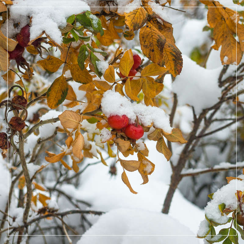 ���� � �������� 3 ����� Vitaly Konakov �� PhotoGeek.ru #������ ��� ������� #����� ��������������