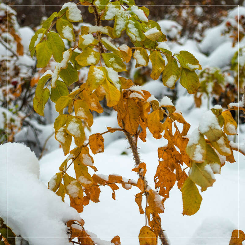 ���� � �������� 4 ����� Vitaly Konakov �� PhotoGeek.ru #������ ��� ������� #����� ��������������