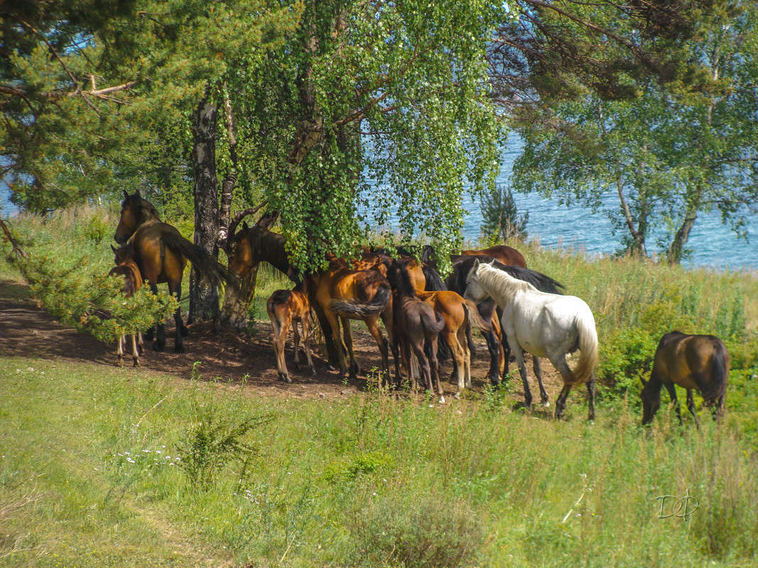 �� ������ ������� 4 ����� Vitaly Konakov �� PhotoGeek.ru #������ ��� ������� #����� ��������