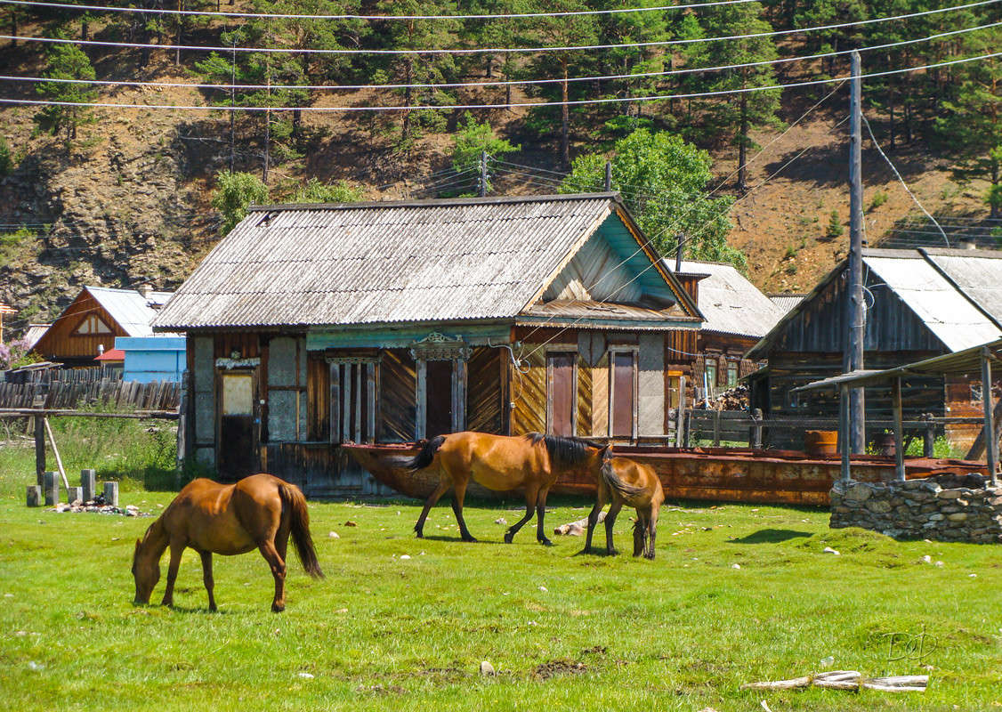 �� ������ ������� 3 ����� Vitaly Konakov �� PhotoGeek.ru #������ ��� ������� #����� ��������