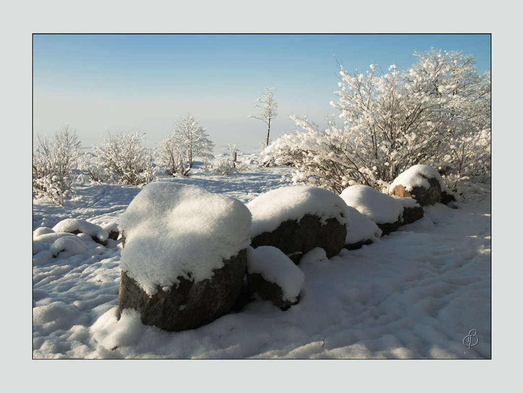 *** ����� Vitaly Konakov �� PhotoGeek.ru #������ ��� ������� #����� ��������