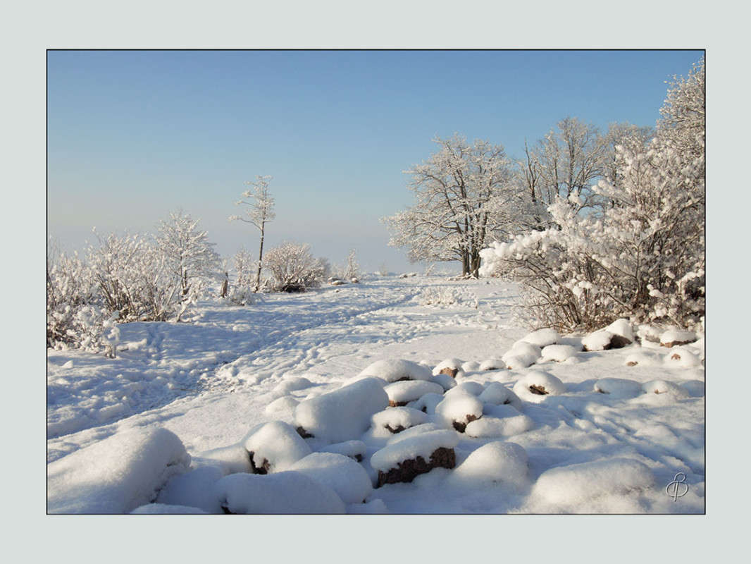 *** ����� Vitaly Konakov �� PhotoGeek.ru #������ ��� ������� #����� ��������