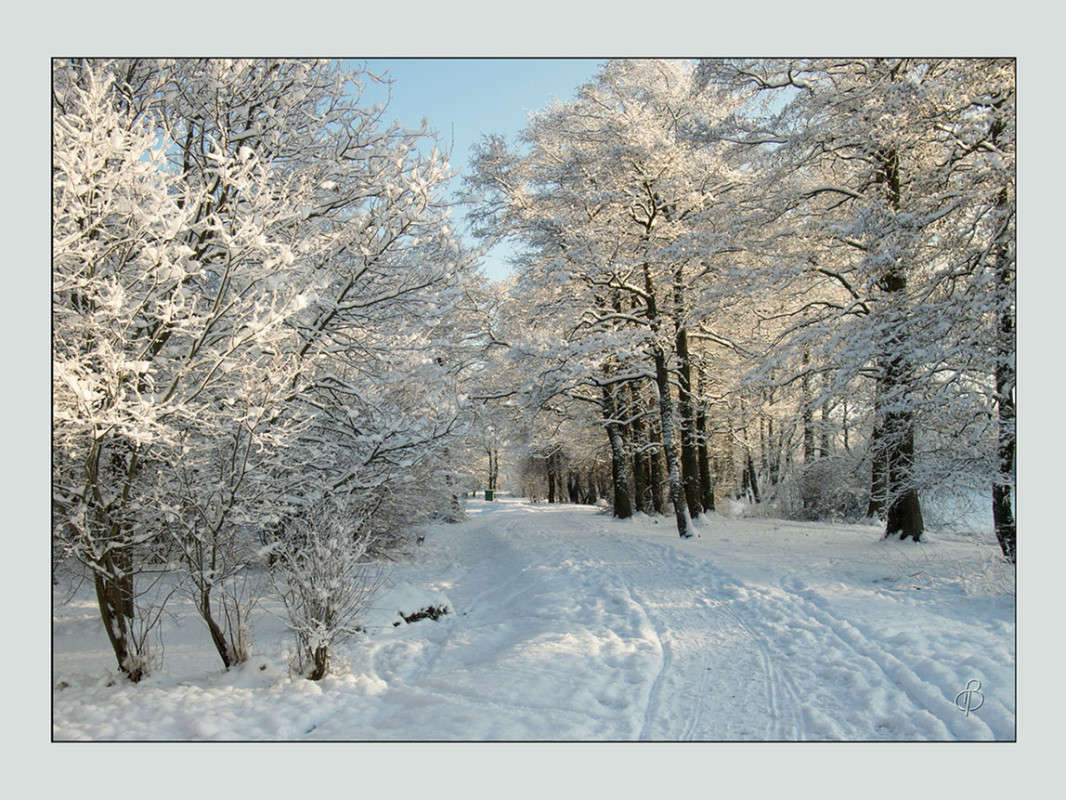 *** ����� Vitaly Konakov �� PhotoGeek.ru #������ ��� ������� #����� ��������