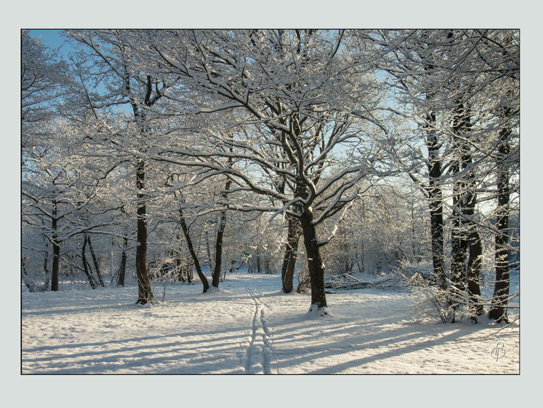 *** ����� Vitaly Konakov �� PhotoGeek.ru #������ ��� ������� #����� ��������