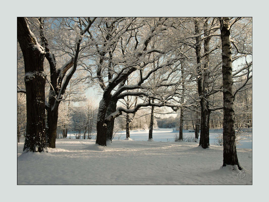 *** ����� Vitaly Konakov �� PhotoGeek.ru #������ ��� ������� #����� ��������